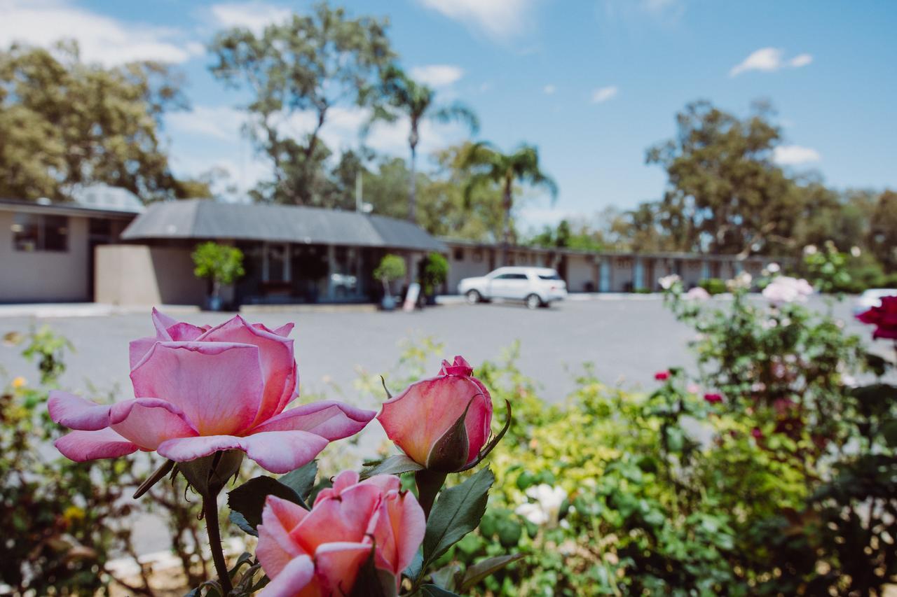 Artesian Spa Motel Moree Esterno foto
